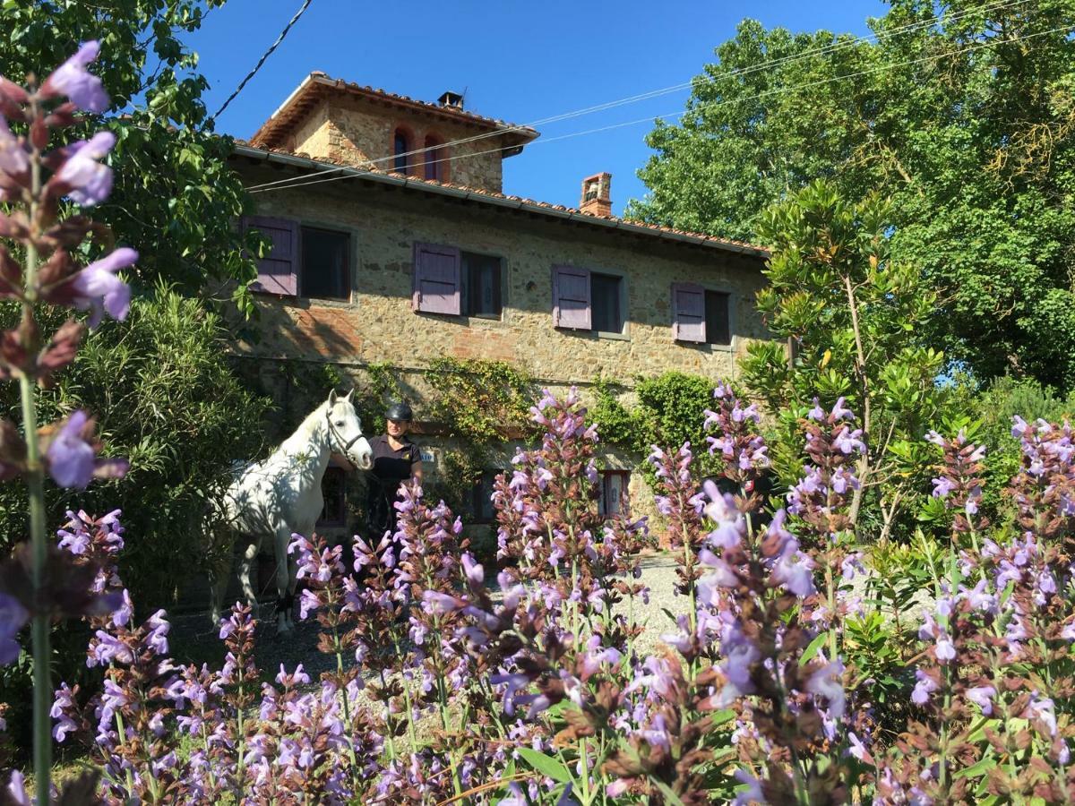 Farmhouse B&B Il Paretaio Barberino Val d'Elsa Bagian luar foto