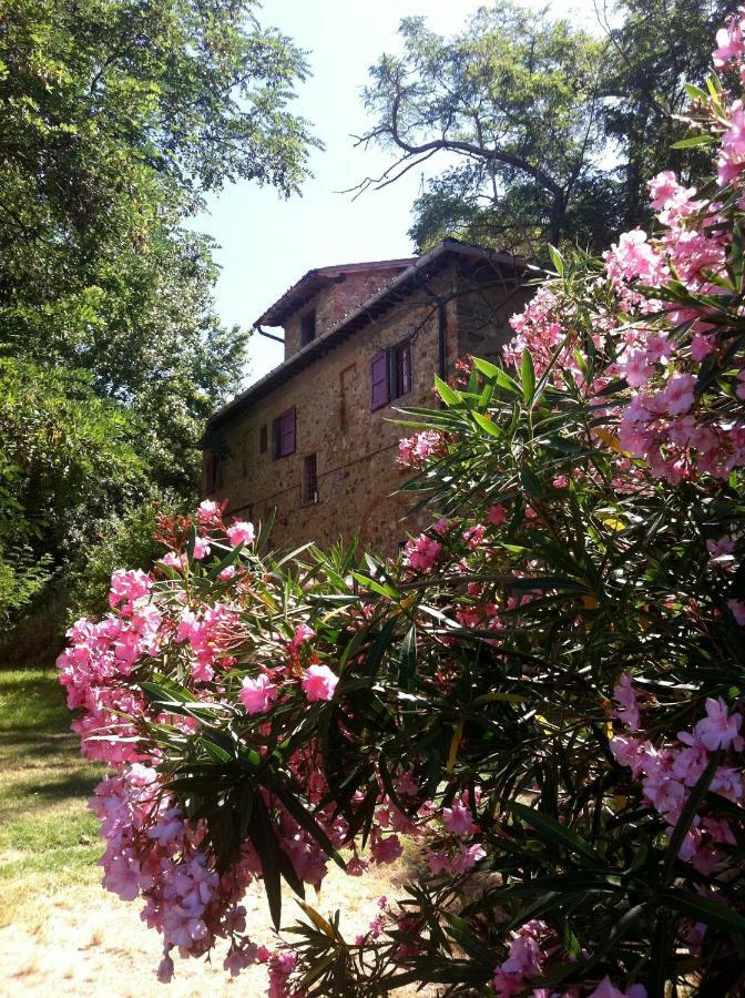 Farmhouse B&B Il Paretaio Barberino Val d'Elsa Bagian luar foto