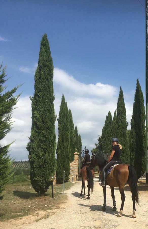 Farmhouse B&B Il Paretaio Barberino Val d'Elsa Bagian luar foto