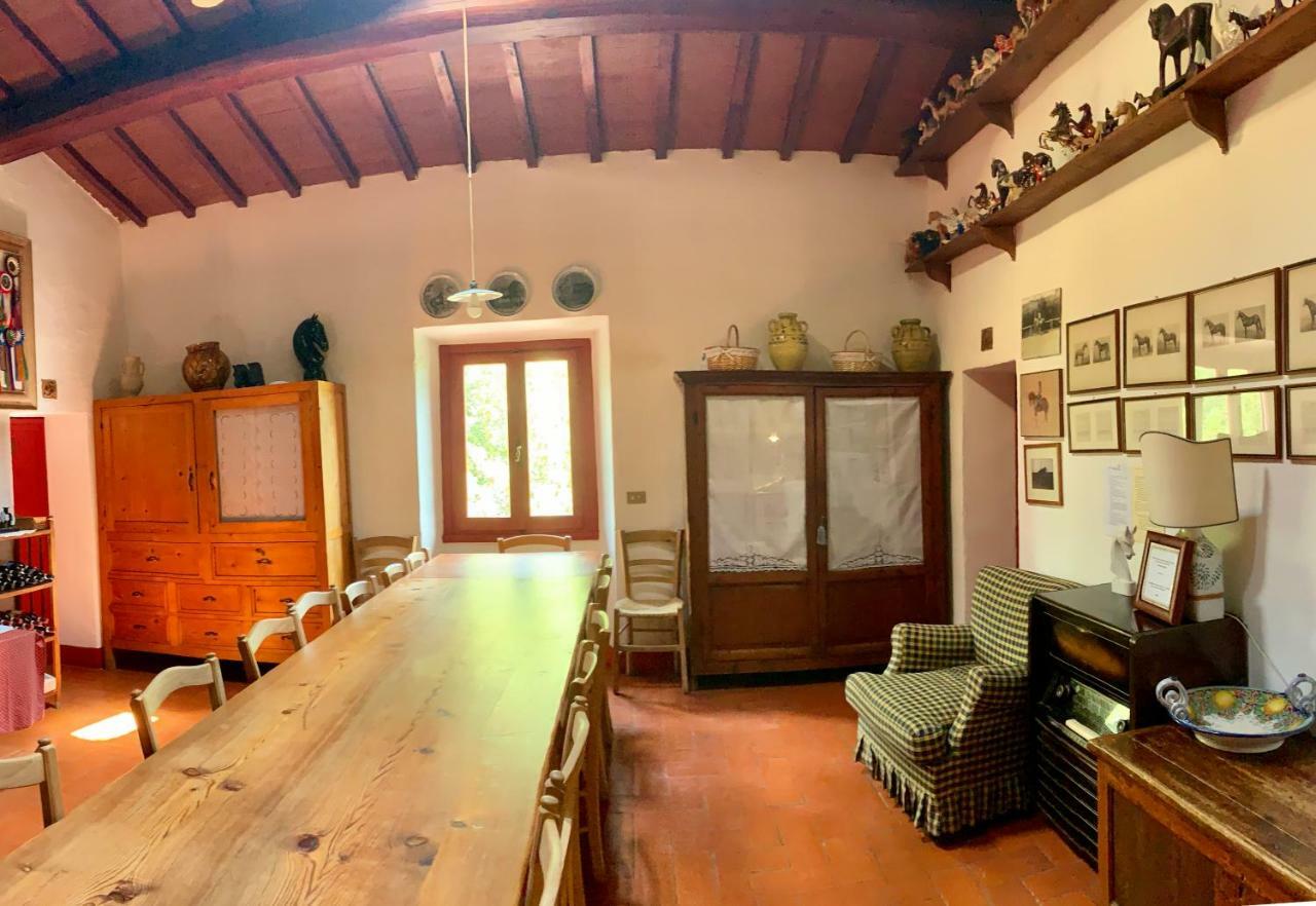 Farmhouse B&B Il Paretaio Barberino Val d'Elsa Bagian luar foto